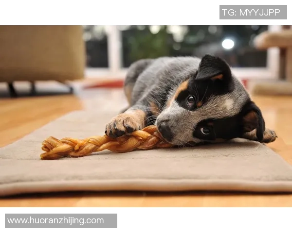 足球明星搞笑囧脸瞬间大集合让你捧腹大笑的精彩时刻